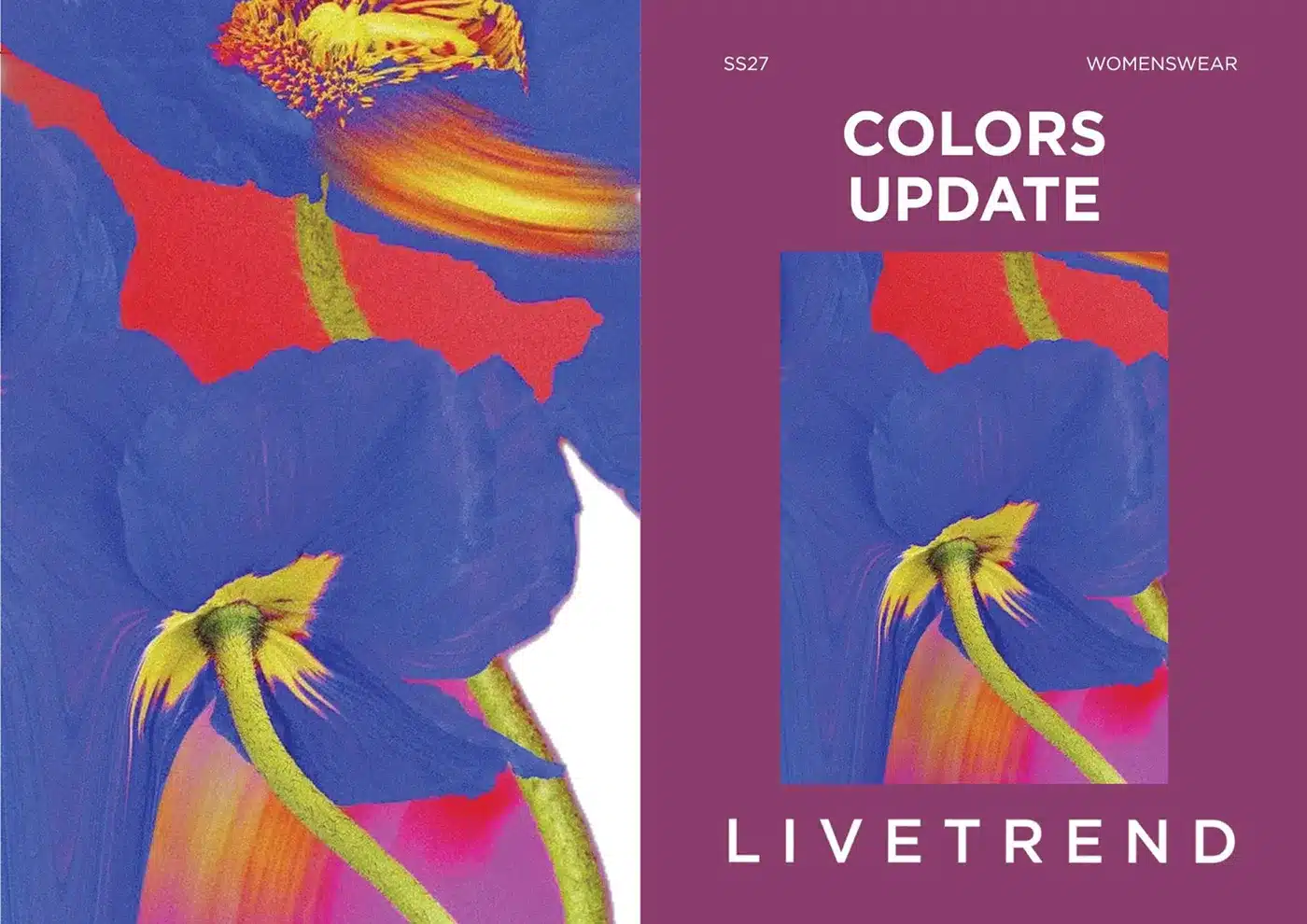 Womenswear Colors Update — report cover