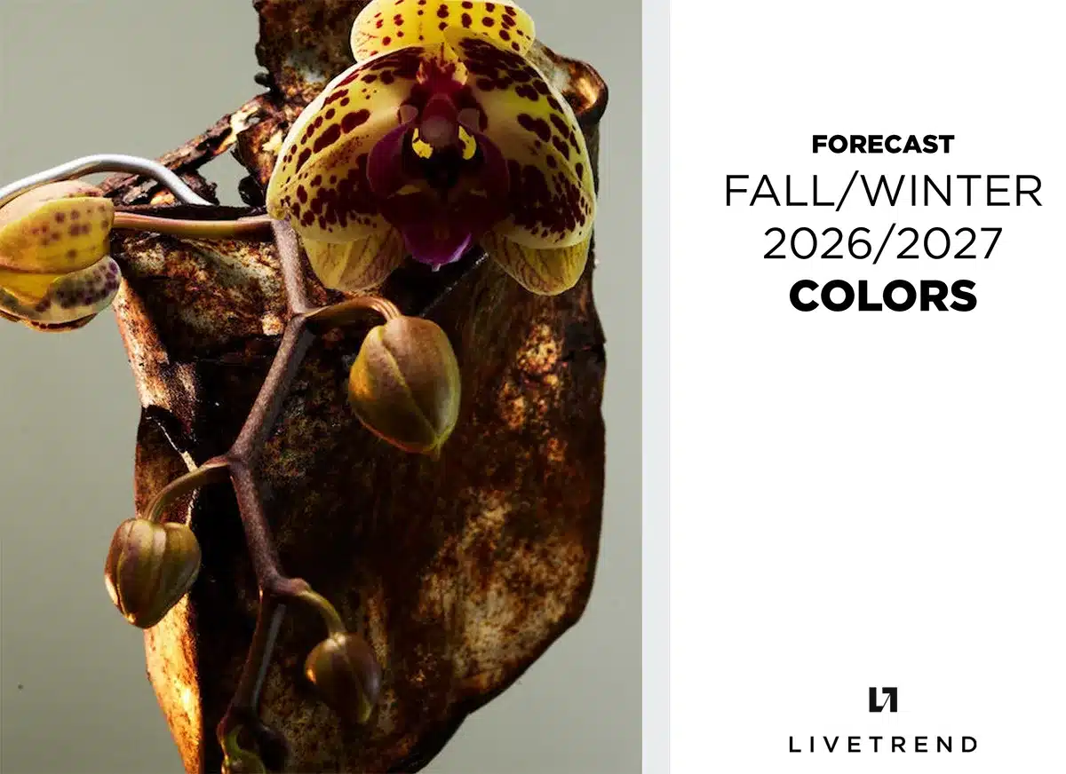 FW26 color shifts color palette fashion trend