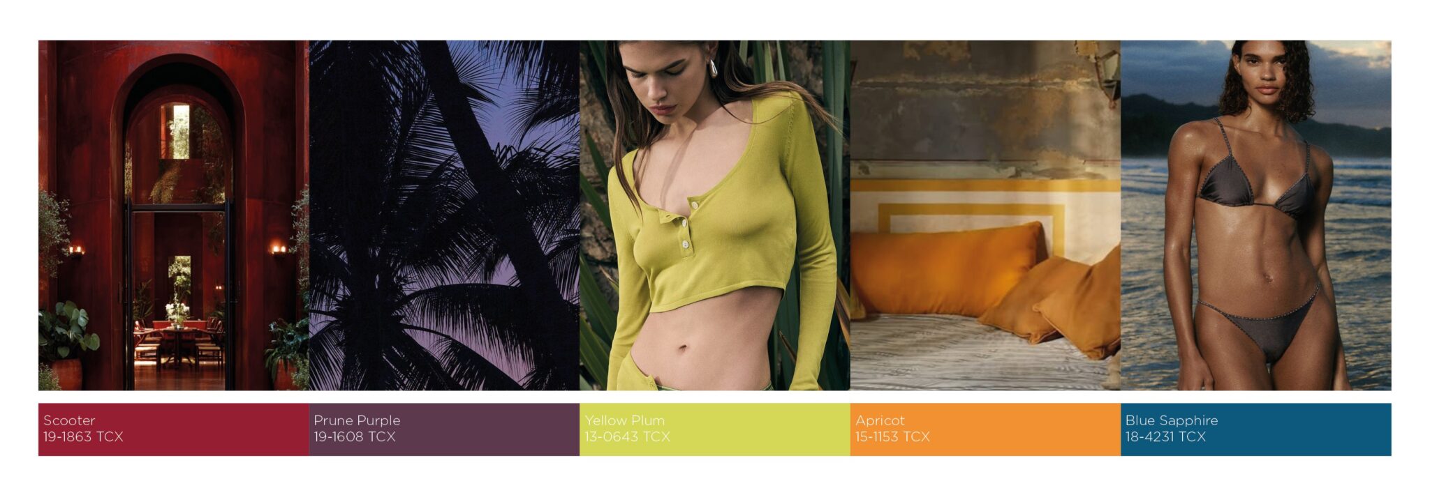 EARTH RITUAL colors